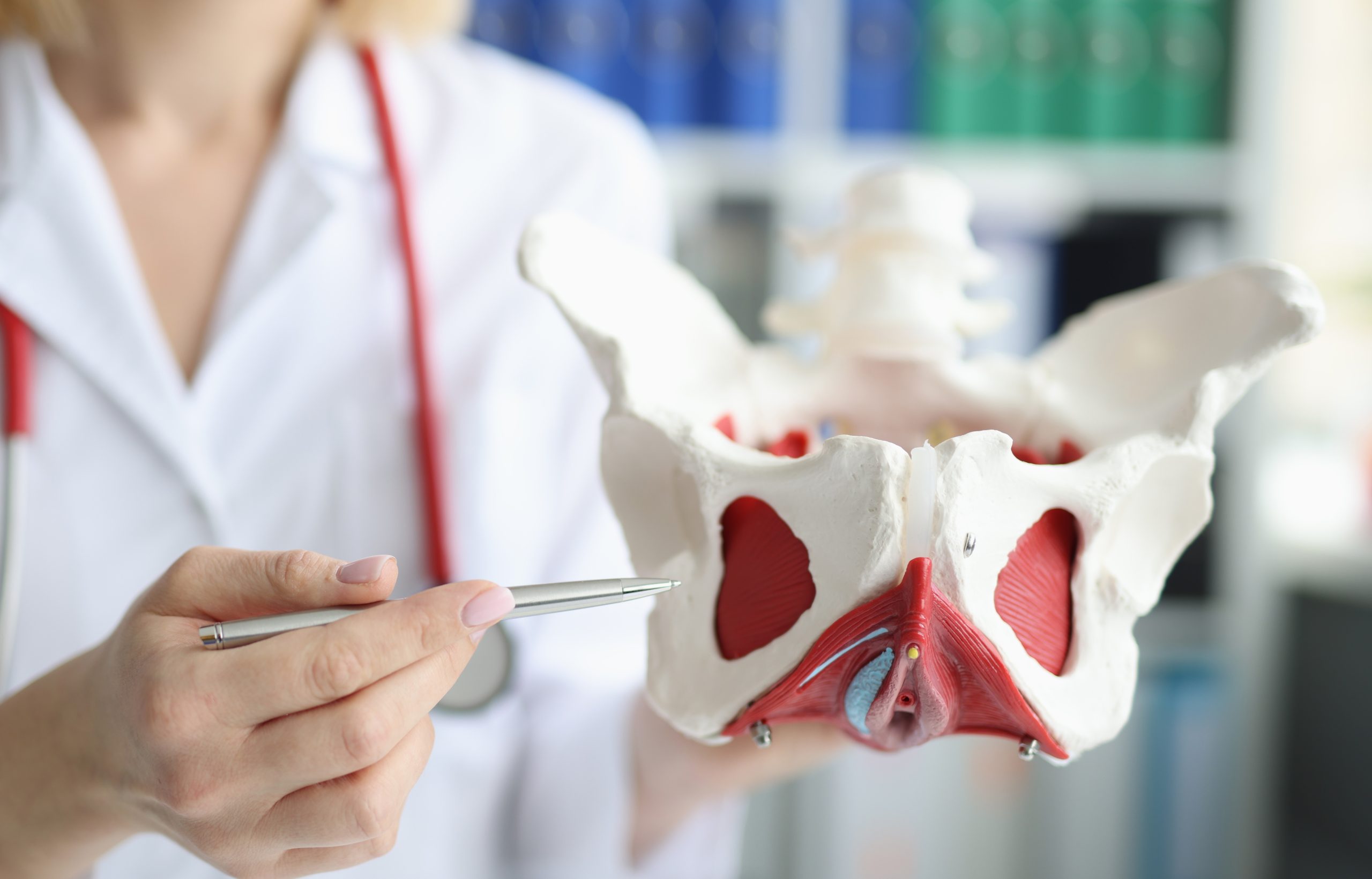 Mini Pause #73: Pelvic Floor Health in Midlife